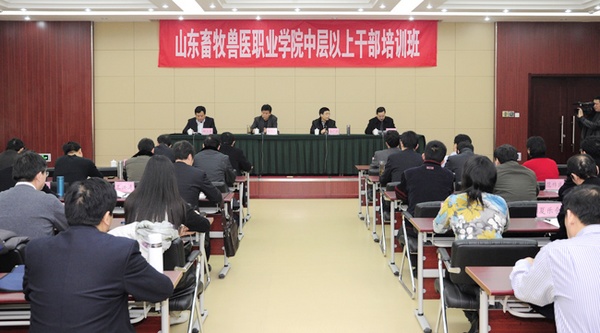 155b.jpg